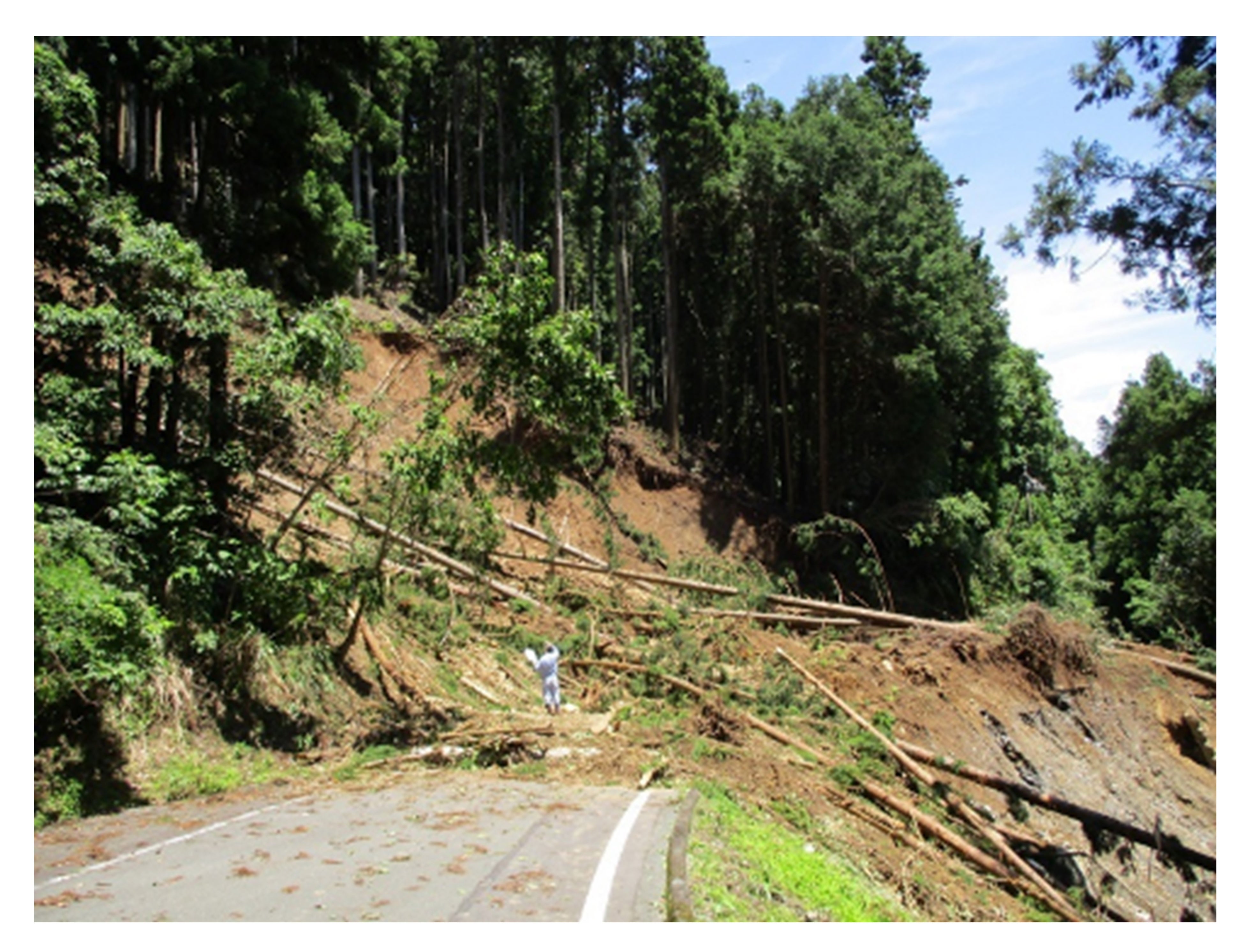 被害を受けた浜松市の様子