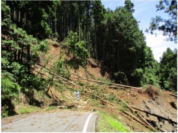 被害を受けた浜松市の様子