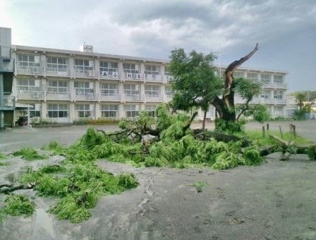 突風被害を受けた静岡県掛川市の様子