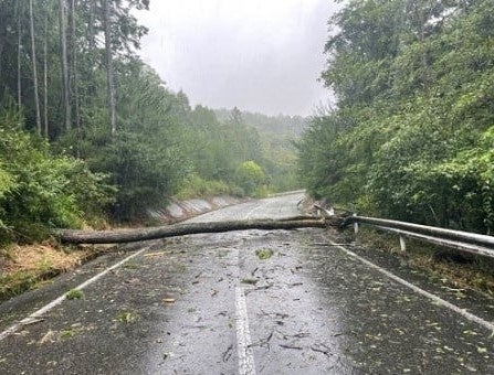 被災した三重県伊賀市の様子