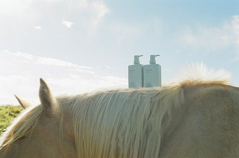 モデル・梨花がブランドファウンダーを務める「AKNIR(アクニー)」とANAが初のコラボキャンペーンを開催 モデル・梨花がブランドファウンダーを務める「AKNIR(アクニー)」とANAが初のコラボキャンペーンを開催