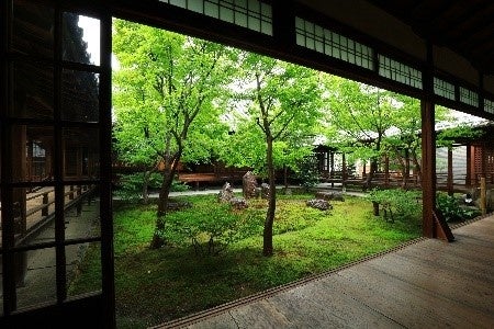 名庭として知られる建仁寺 潮音庭