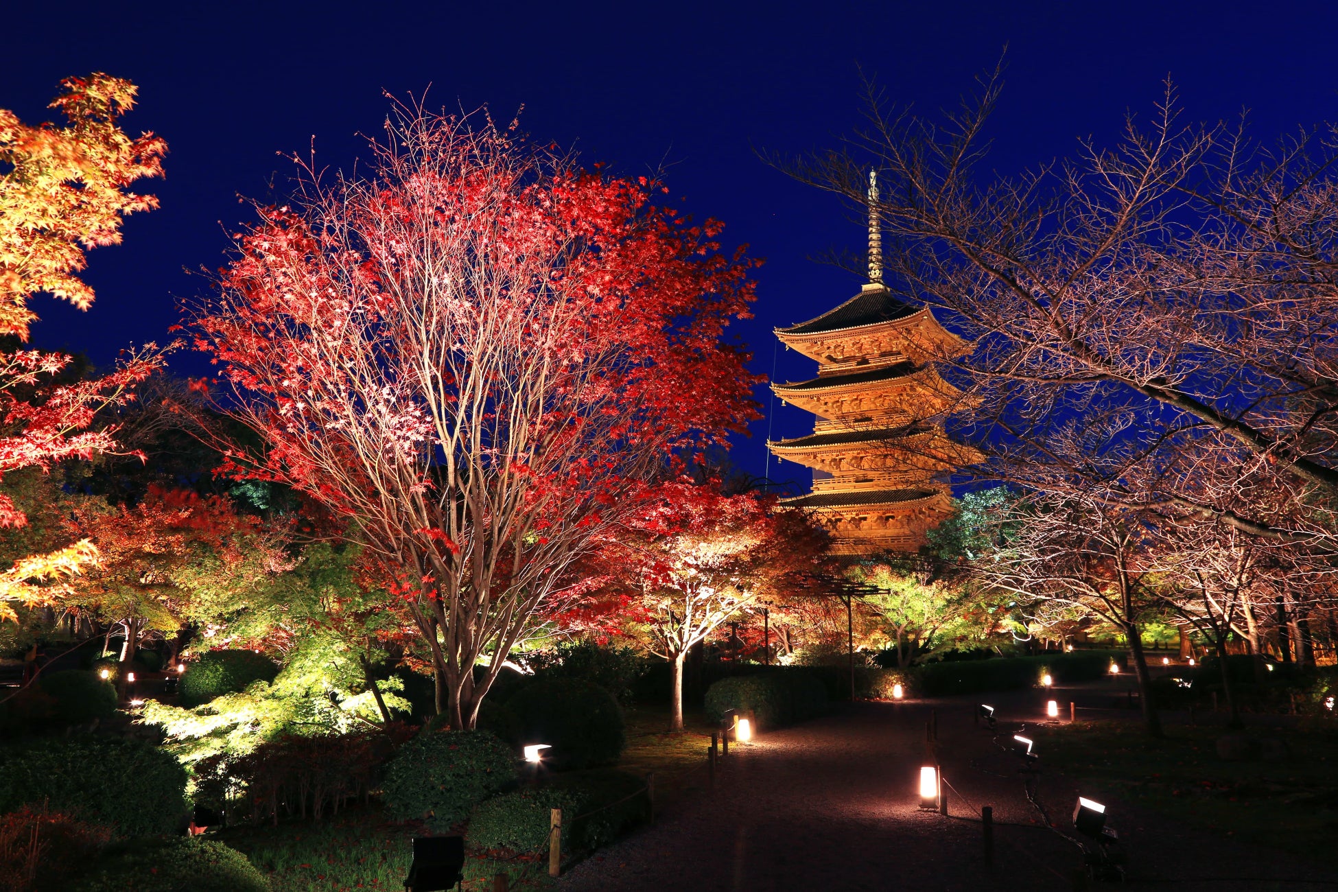 色彩豊かに紅葉する京の秋の魅力を体感 そうだ 京都 行こう 22年秋キャンペーンを10月1日 土 12月 11日 日 で開催 東海旅客鉄道株式会社のプレスリリース 色彩豊かに紅葉する京の秋の魅力を体感 そうだ 京都 行こう 22年秋キャンペーンを10月1日 土 12月 11日 日 で開催 東海旅客鉄道株式会社のプレスリリース
