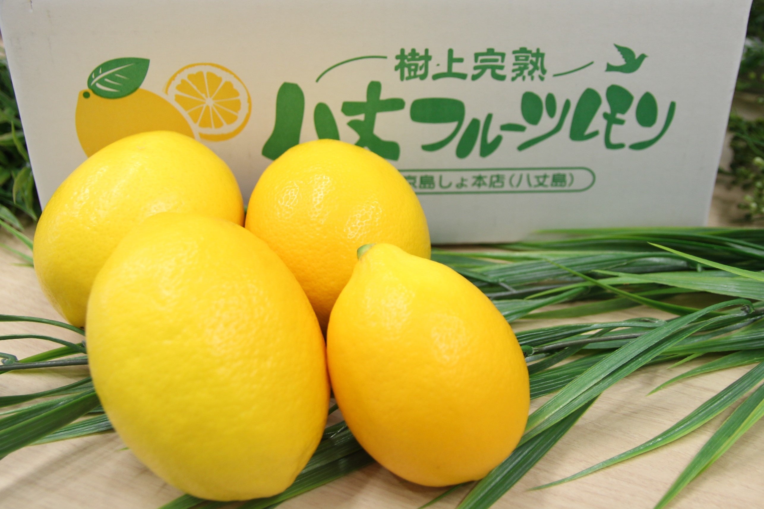 八丈フルーツレモン