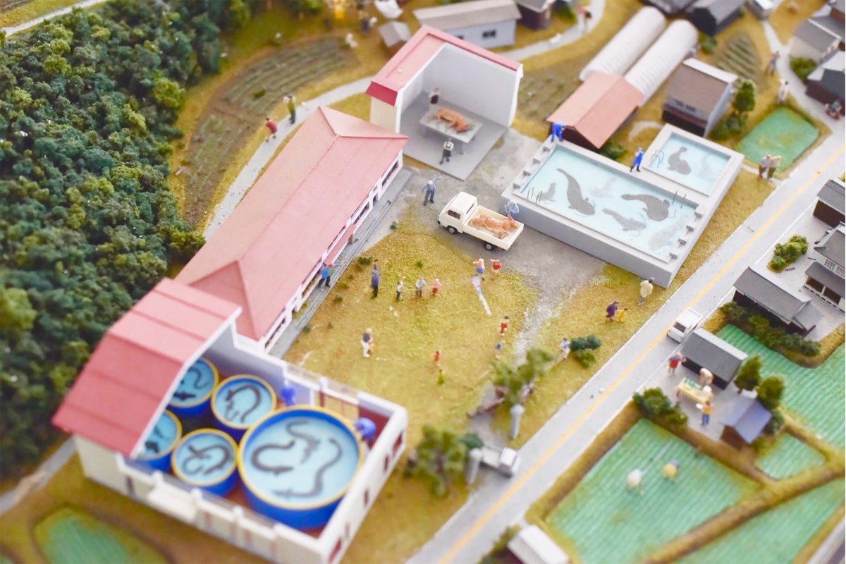 エーゼロ株式会社