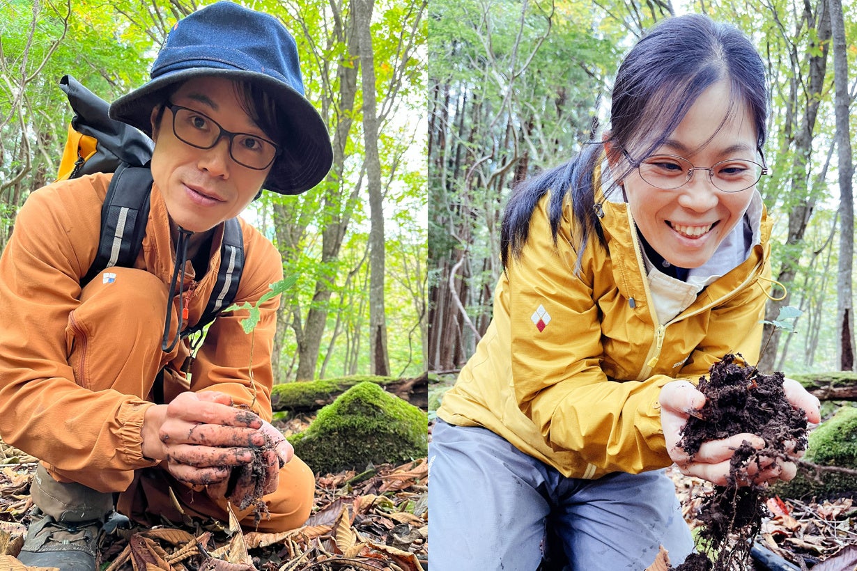 森づくり：稚樹の保護