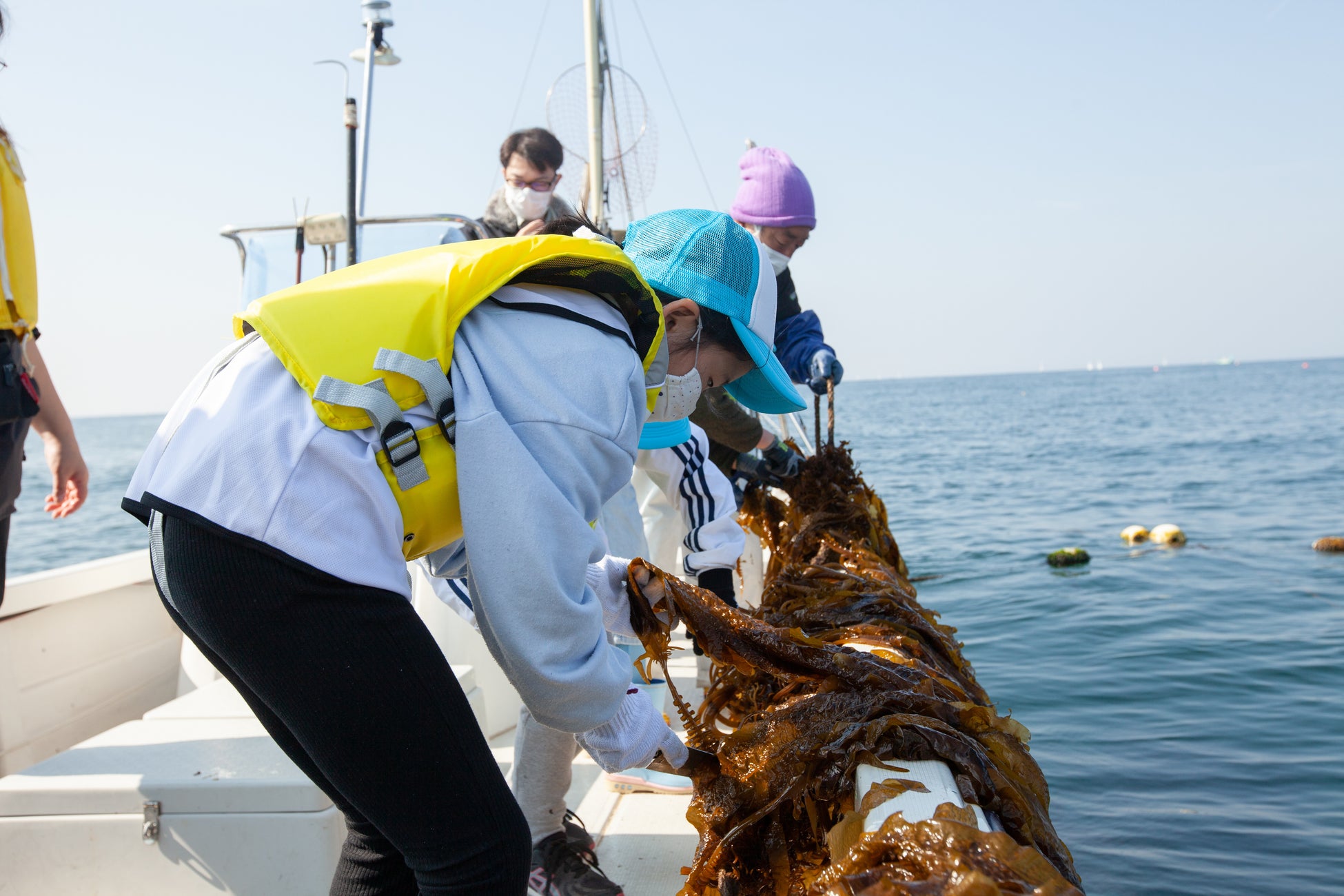 子どもたちが ワカメ漁 を通して海とのつながりを実感 身近な海を知ろう 小坪漁港 を開催しました アクトインディ株式会社のプレスリリース 子どもたちが ワカメ漁 を通して海とのつながりを実感 身近な海を知ろう 小坪漁港 を開催しました アクトインディ株式会社のプレスリリース