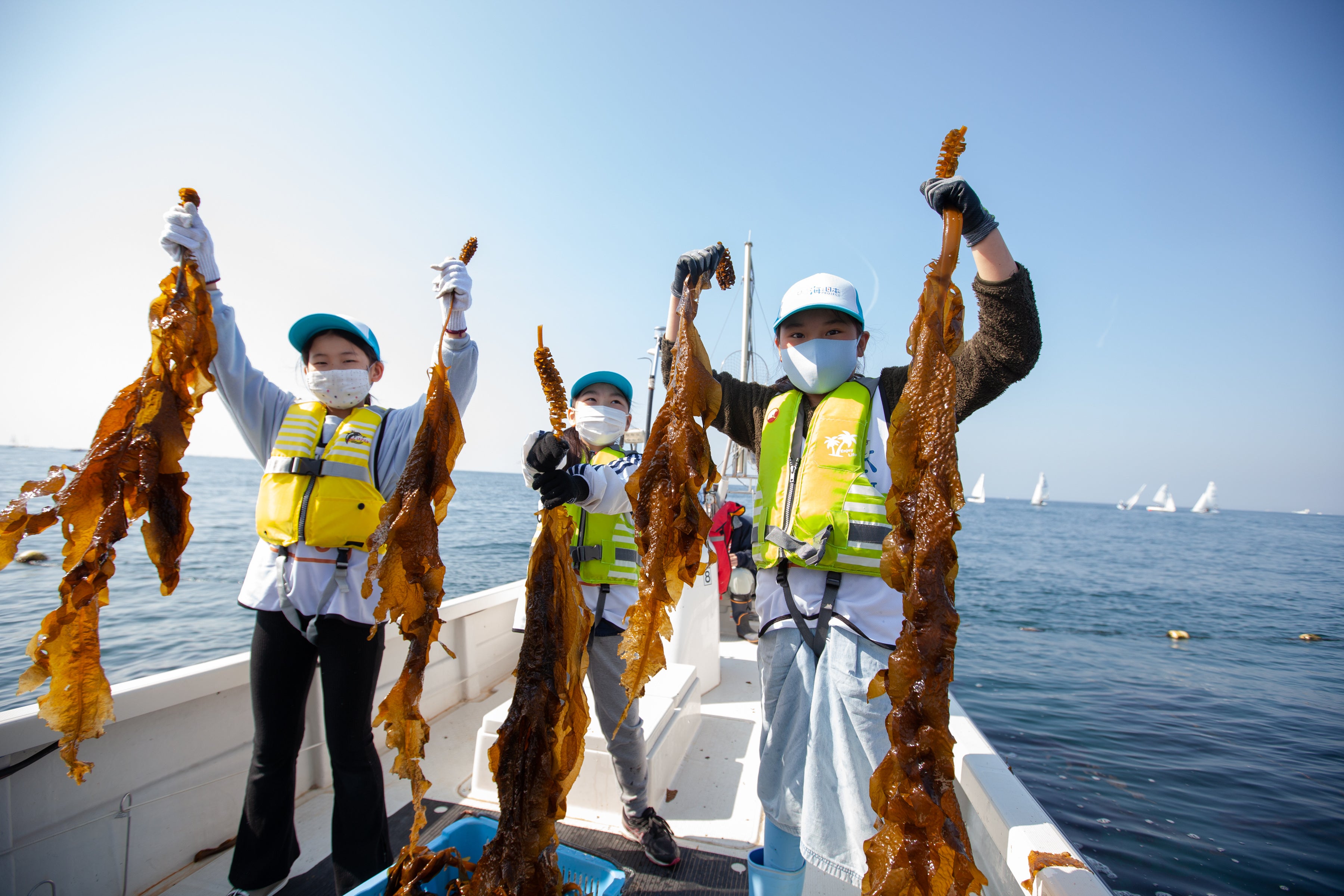 子どもたちが ワカメ漁 を通して海とのつながりを実感 身近な海を知ろう 小坪漁港 を開催しました アクトインディ株式会社のプレスリリース