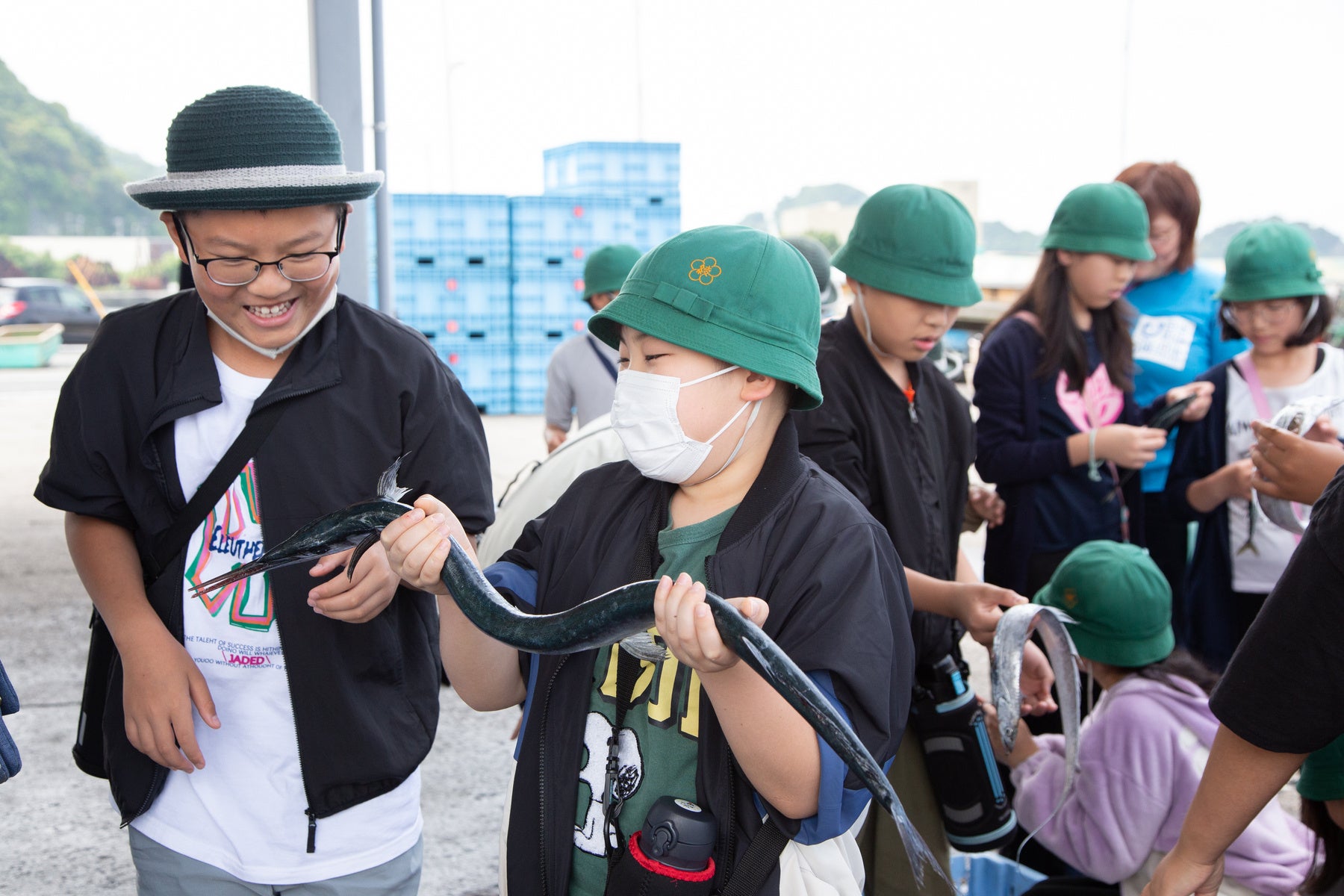 鮮魚の選別体験