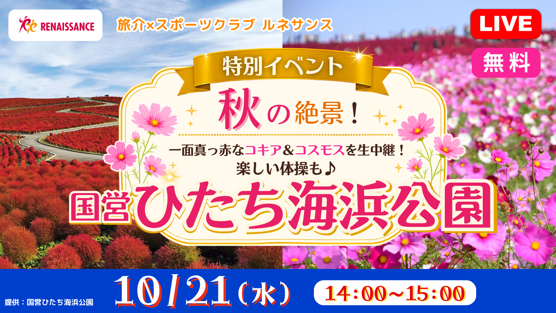 「ルネサンス×旅介TV」介護施設向けのバーチャル旅行イベントでオンライン体操を開催しました