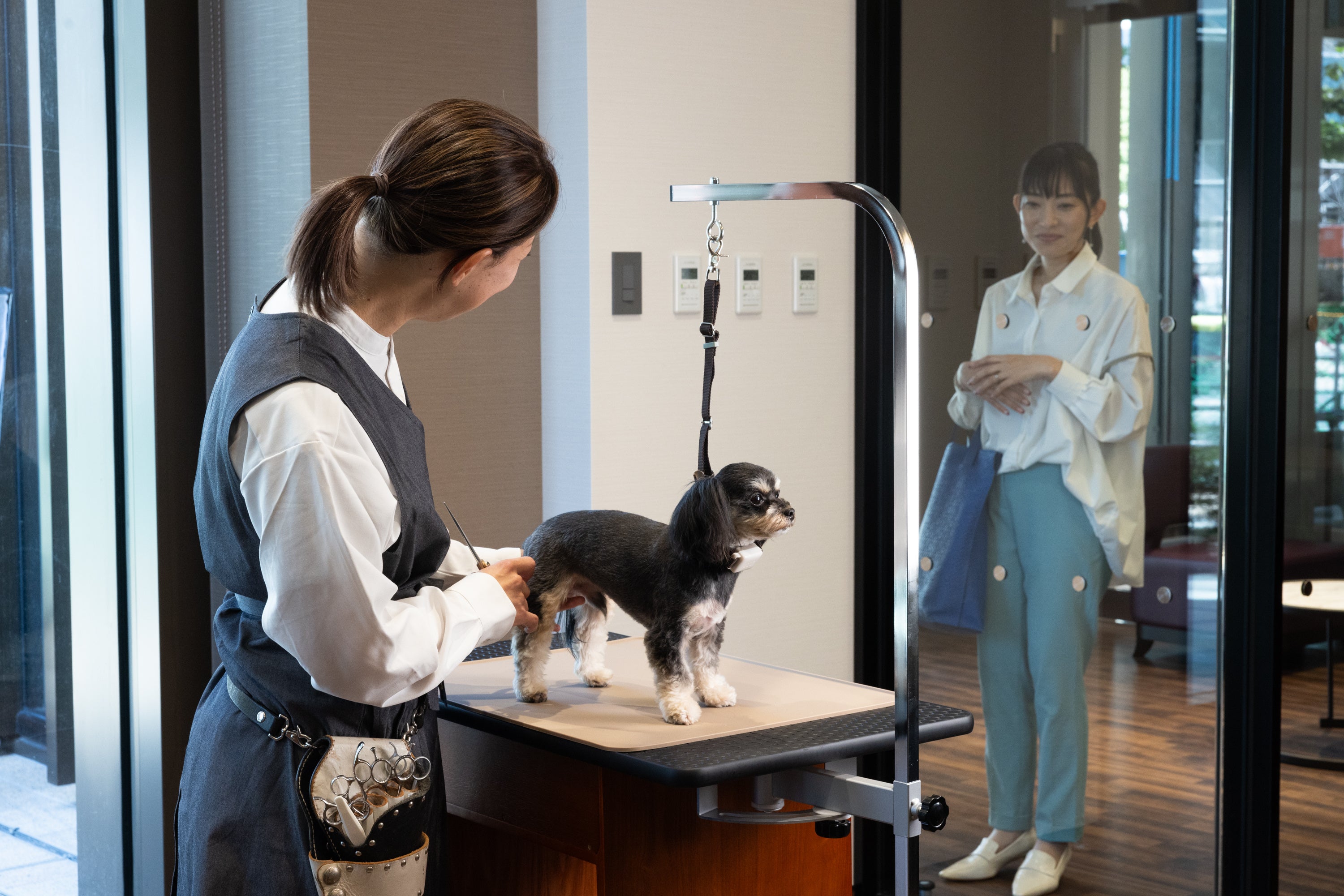 ガラス張りのグルーミング室
