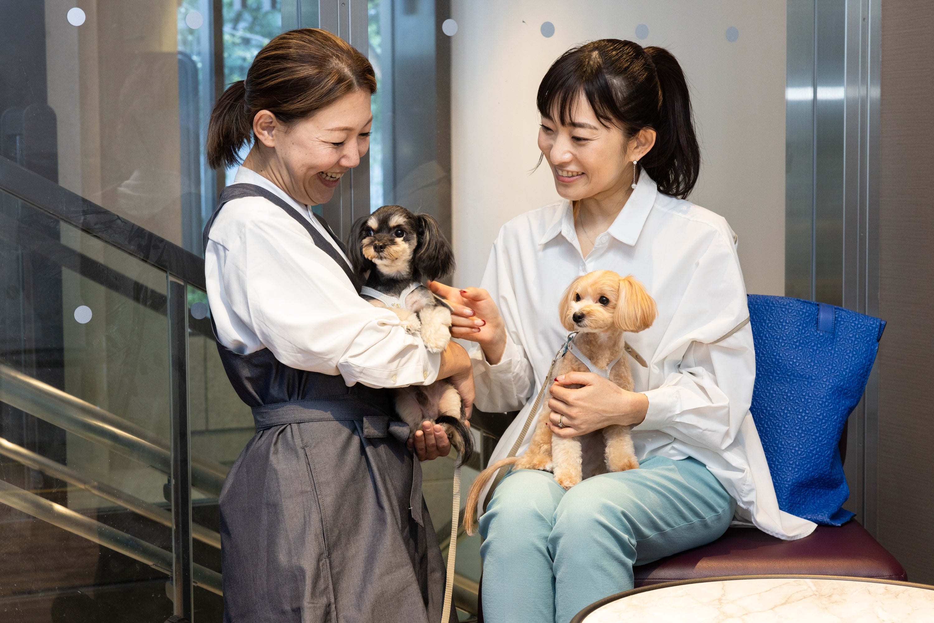 カウンセリング