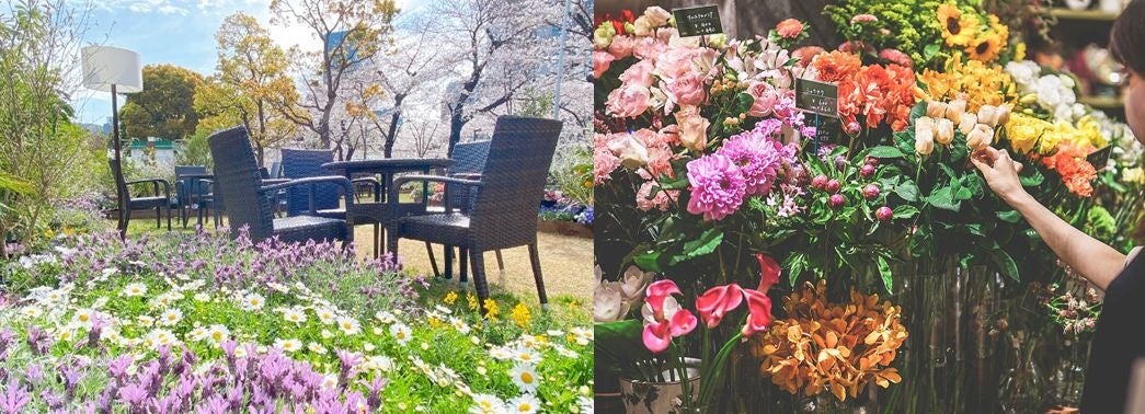 東京ミッドタウン 花々につつまれた華やかな春時間を楽しむ Midtown Blossom 22 開催 東京ミッドタウンマネジメント株式会社のプレスリリース 東京ミッドタウン 花々につつまれた華やかな春時間を楽しむ Midtown Blossom 22 開催 東京ミッドタウンマネジメント株式会社のプレスリリース