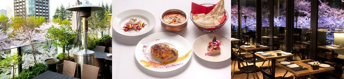 ▲(左)KNOCK CUCINA BUONA ITALIANA (中央)プリフィックスコース(NIRVANA New York) (右)Artisan de la Truffe Paris