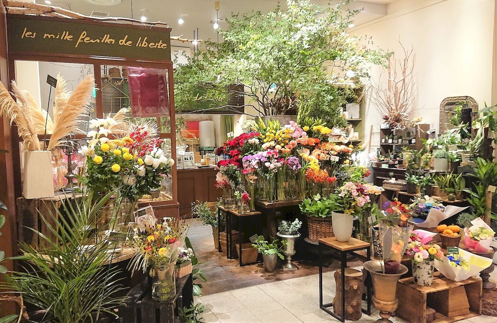 東京ミッドタウン 花々につつまれた華やかな春時間を楽しむ Midtown Blossom 22 開催 東京ミッドタウン マネジメント株式会社のプレスリリース