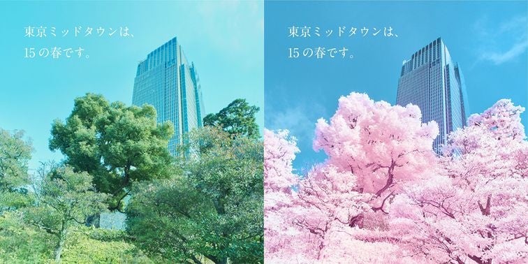 ▲（左）通常写真　（右）赤外線写真　※2022年2月17日に同時刻同場所にて撮影