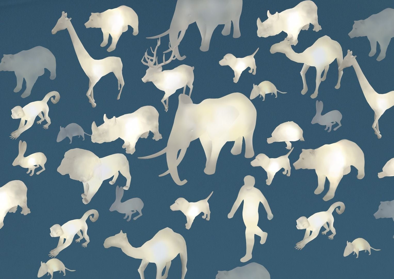 ▲動物ごとの心拍のリズムで明滅する彫刻（イメージ）