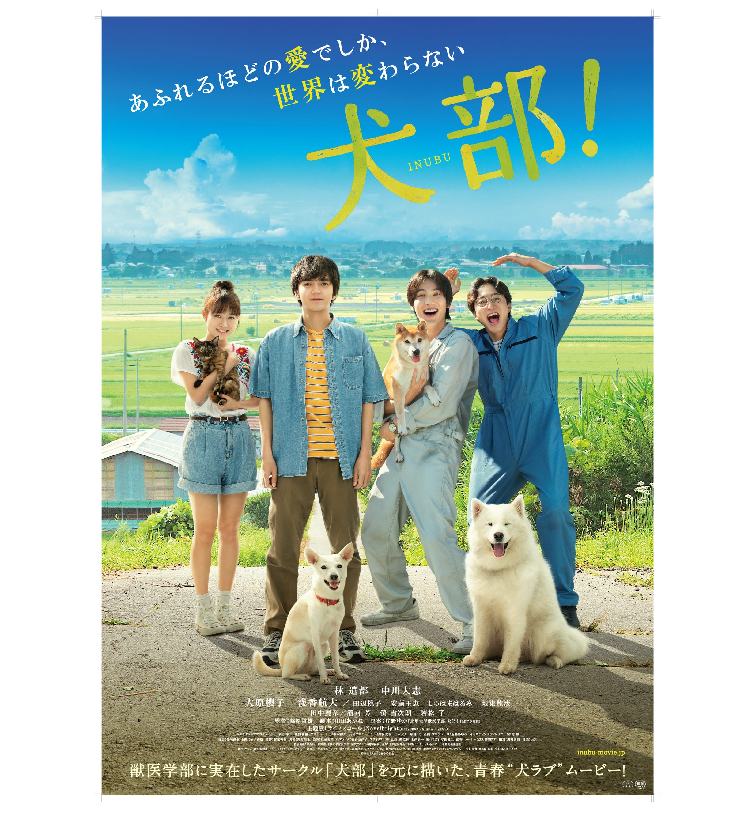 ©２０２１『犬部！』製作委員会