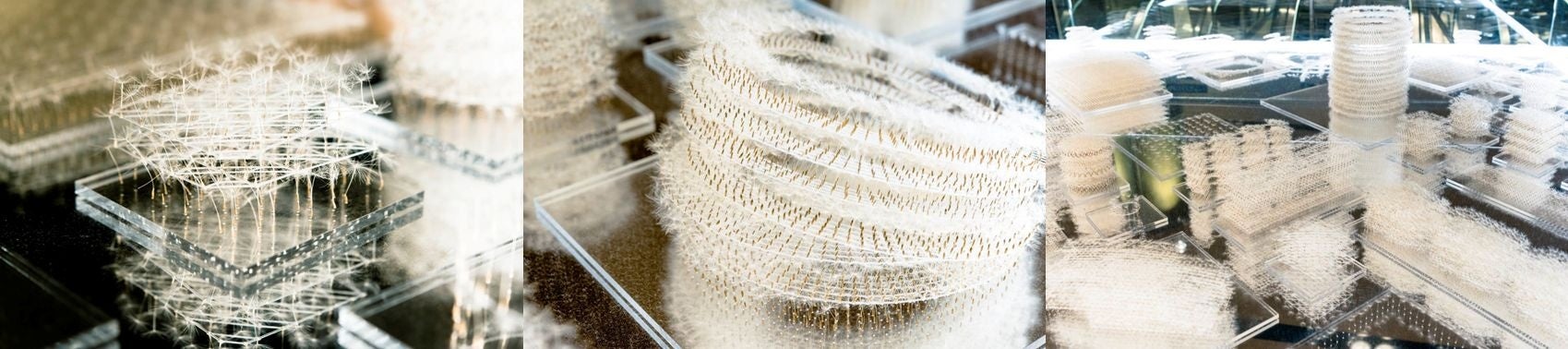 《息を建てる／都市を植える》© Mayu Ishikawa