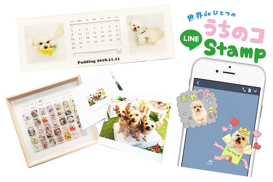 データ商品の他、撮影したお写真でおつくりするアルバム、カレンダー、LINEスタンプ、フォトバネルも購入可能です。