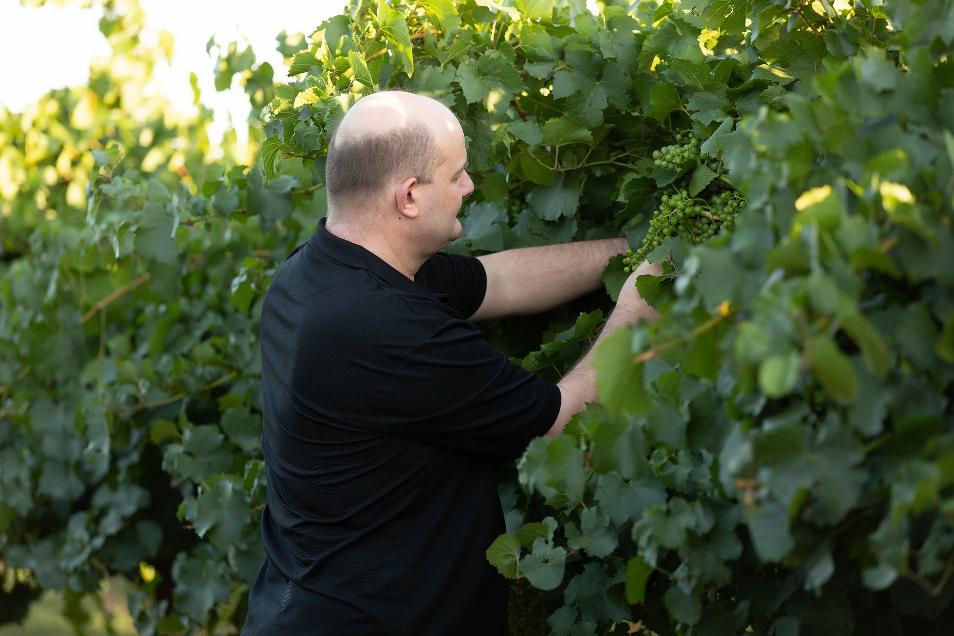 「立冬ヌーヴォ」はオーストラリアのワイナリー「クアリサ」のジョン・クアリサ氏と0から共同開発した商品。