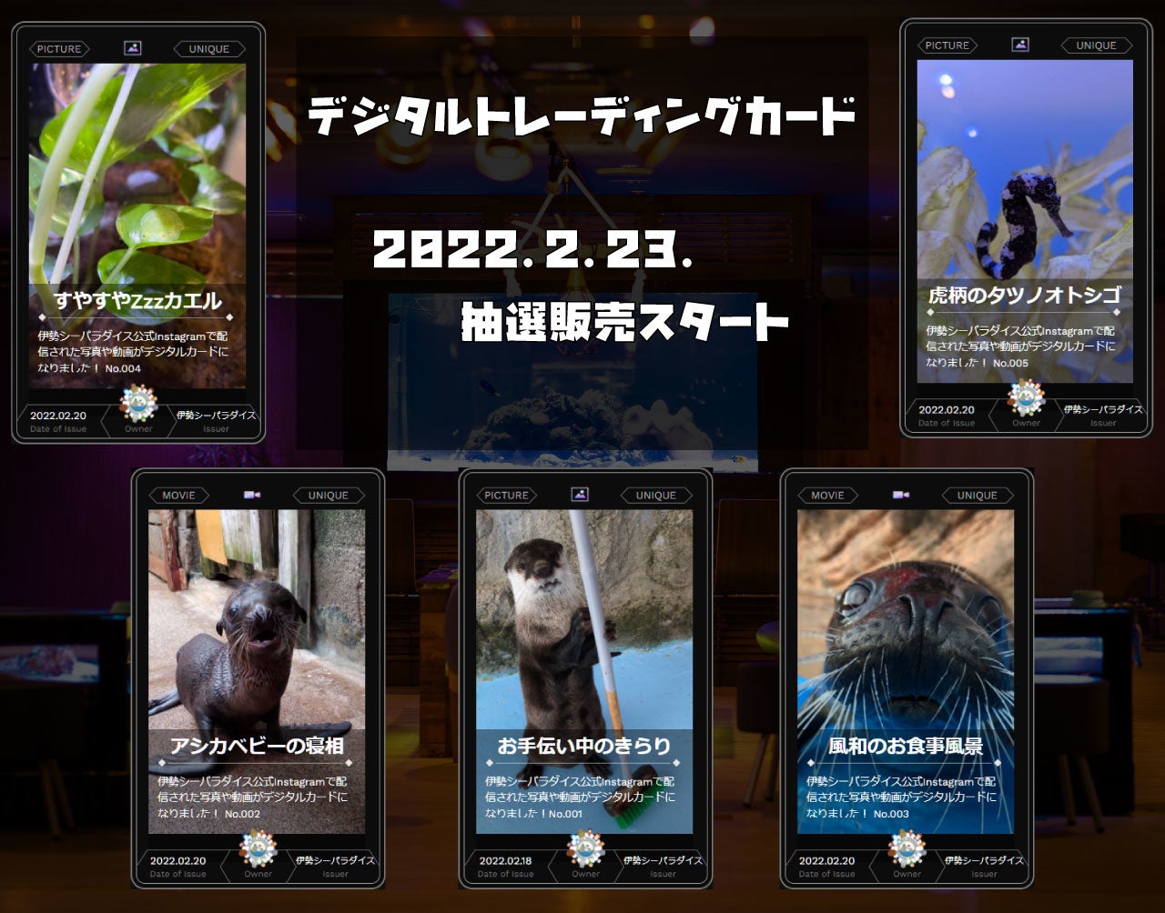 水族館が世界で1枚だけのデジタルトレカを販売！】NFTマーケット