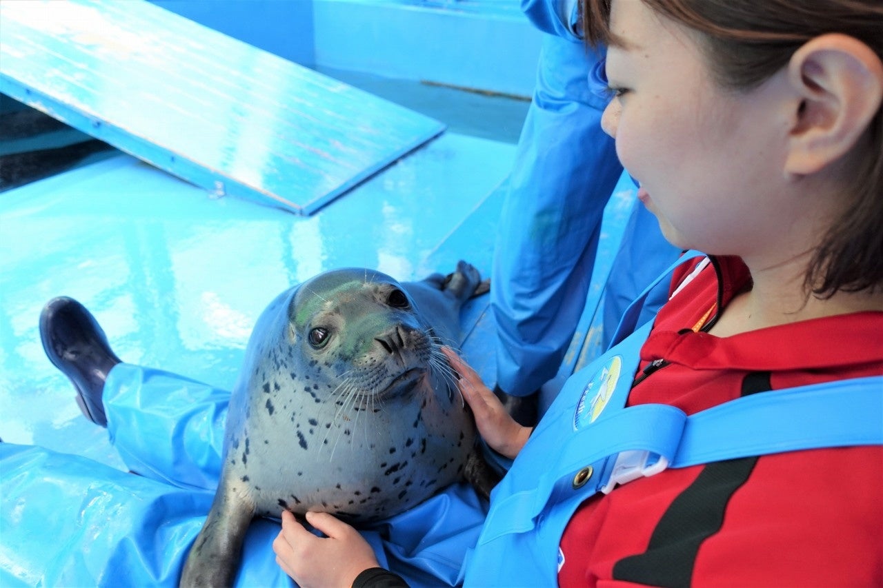 舞浜の人魚 2点おまとめページ おとな釣り倶楽部】いよいよ解禁！仲間と楽しむ明石のタコ釣り