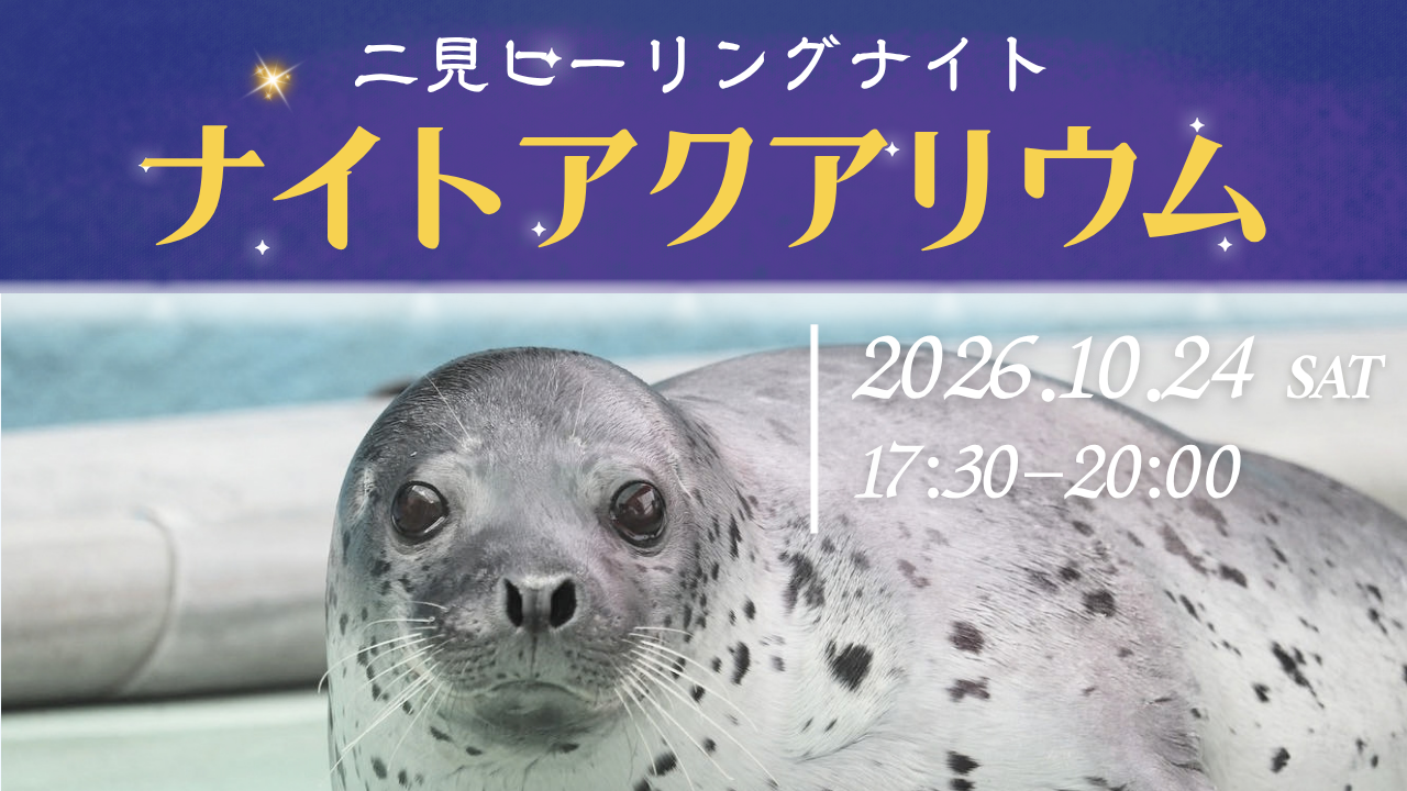 夜の水族館へようこそ。「ナイトアクアリウム in 伊勢シーパラダイス」