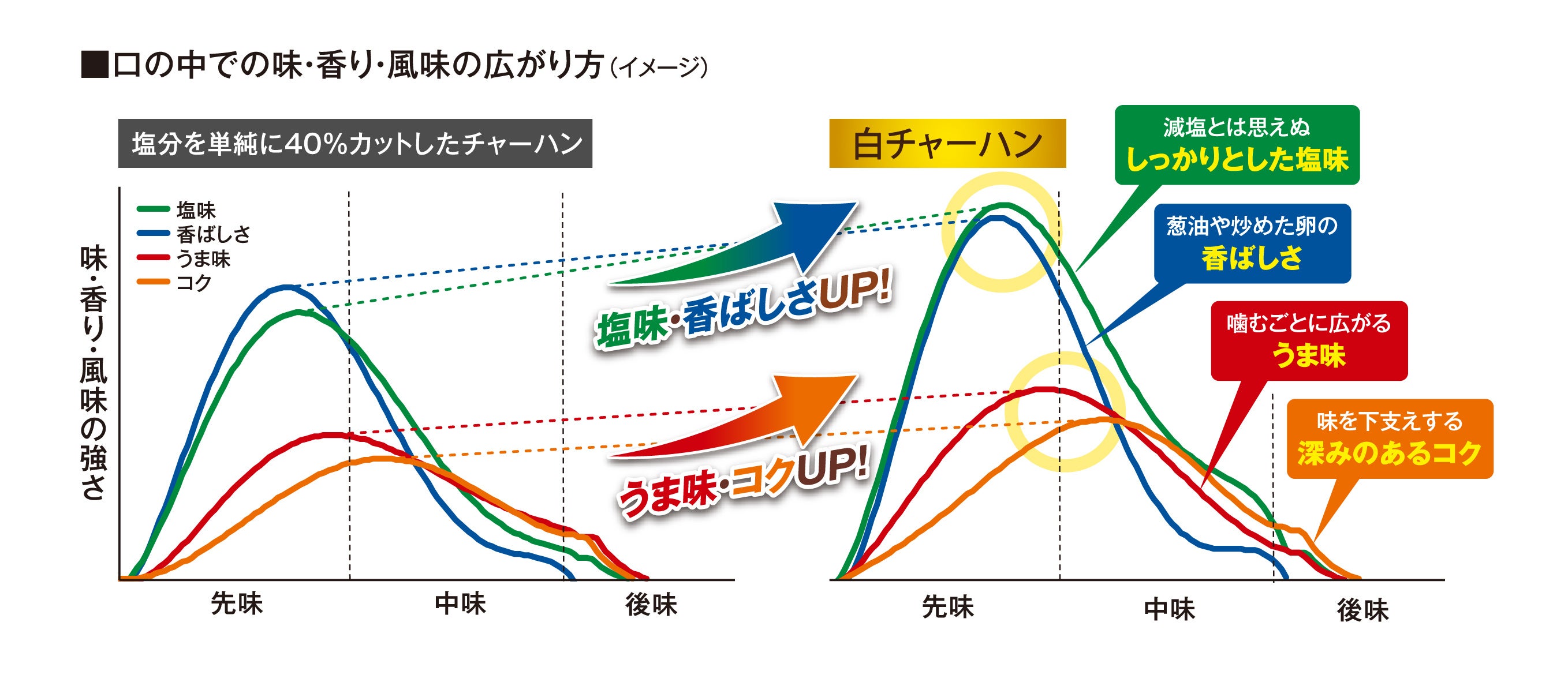 【口の中での味・香り・風味の広がり方（白チャーハン）】※イメージ