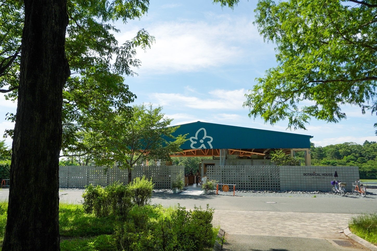 メタセコイヤ並木の木漏れ日を通り抜けて、大池のほとりに佇むBOTANICAL HOUSE