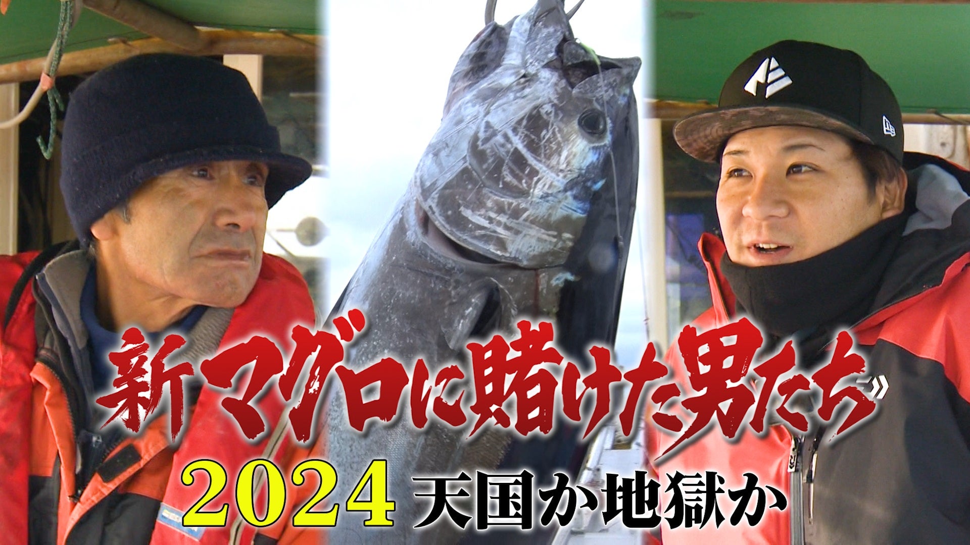 大間 マグロ テレビ