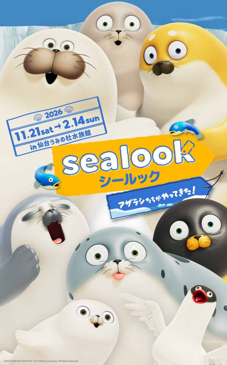 「SEALOOK」日本初！水族館とのコラボが決定！