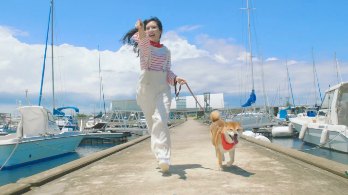 テレビCM「夢の大海原」篇より