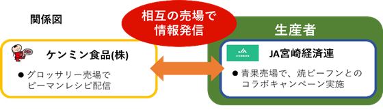 （ケンミン）関係図【ケンミン食品×JA宮崎経済連】