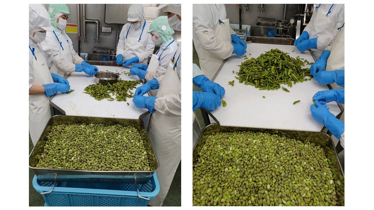 むき枝豆の選別作業の様子