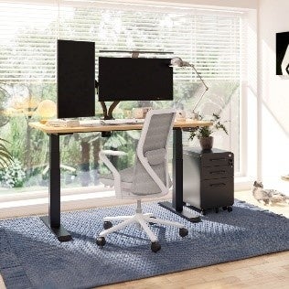 2024年新春 キャンペーンを開催！】FlexiSpotの人気昇降デスクや話題の