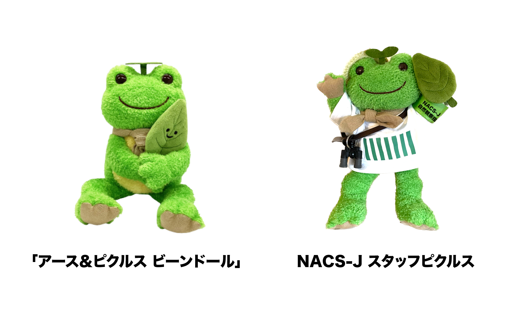 かえるのピクルス」が日本自然保護協会の大使に就任！ | 公益財団法人