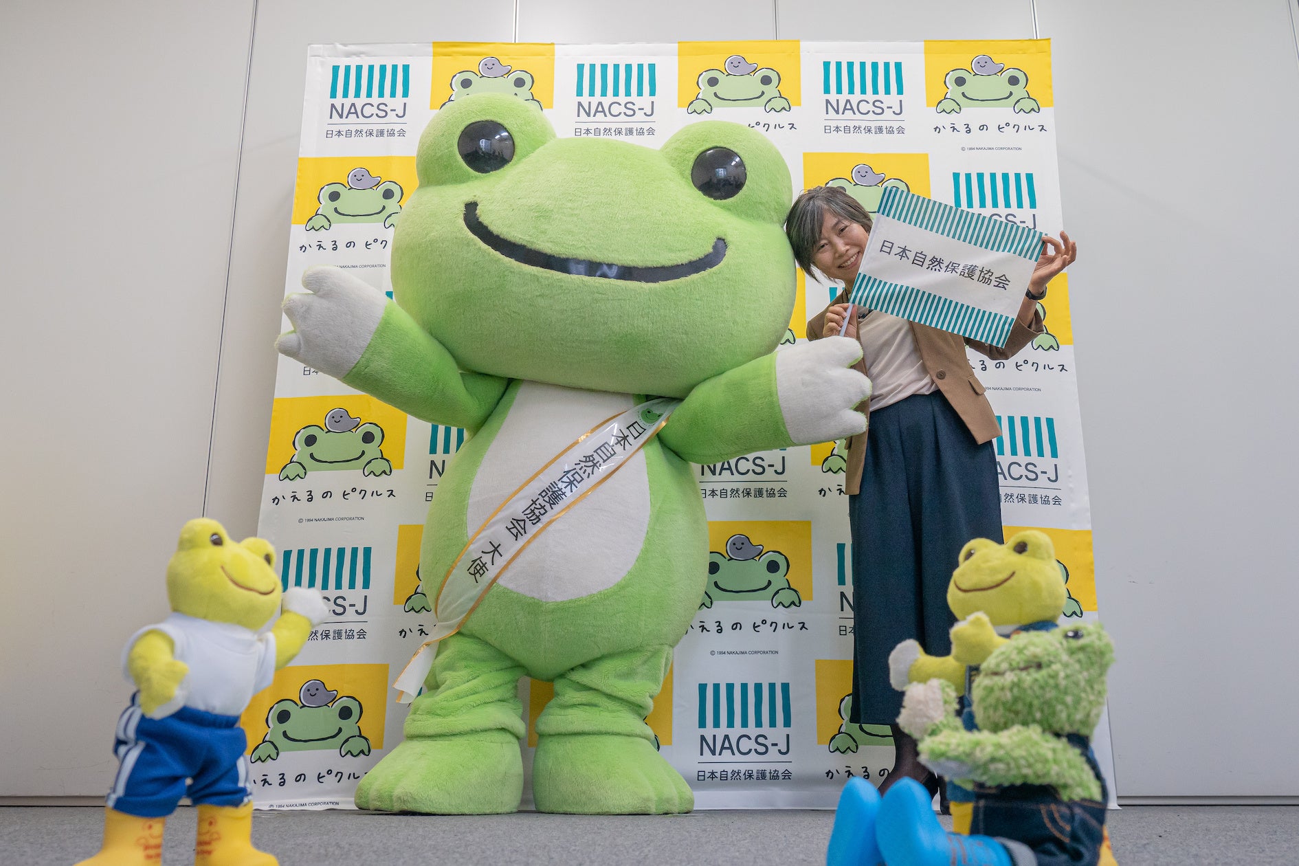 【確実正規品】かえるのピクルス イエロー 韓国限定 完売品３ かえるのピクルス ぬいぐるみ 黄色 韓国 ポップアップ 限定