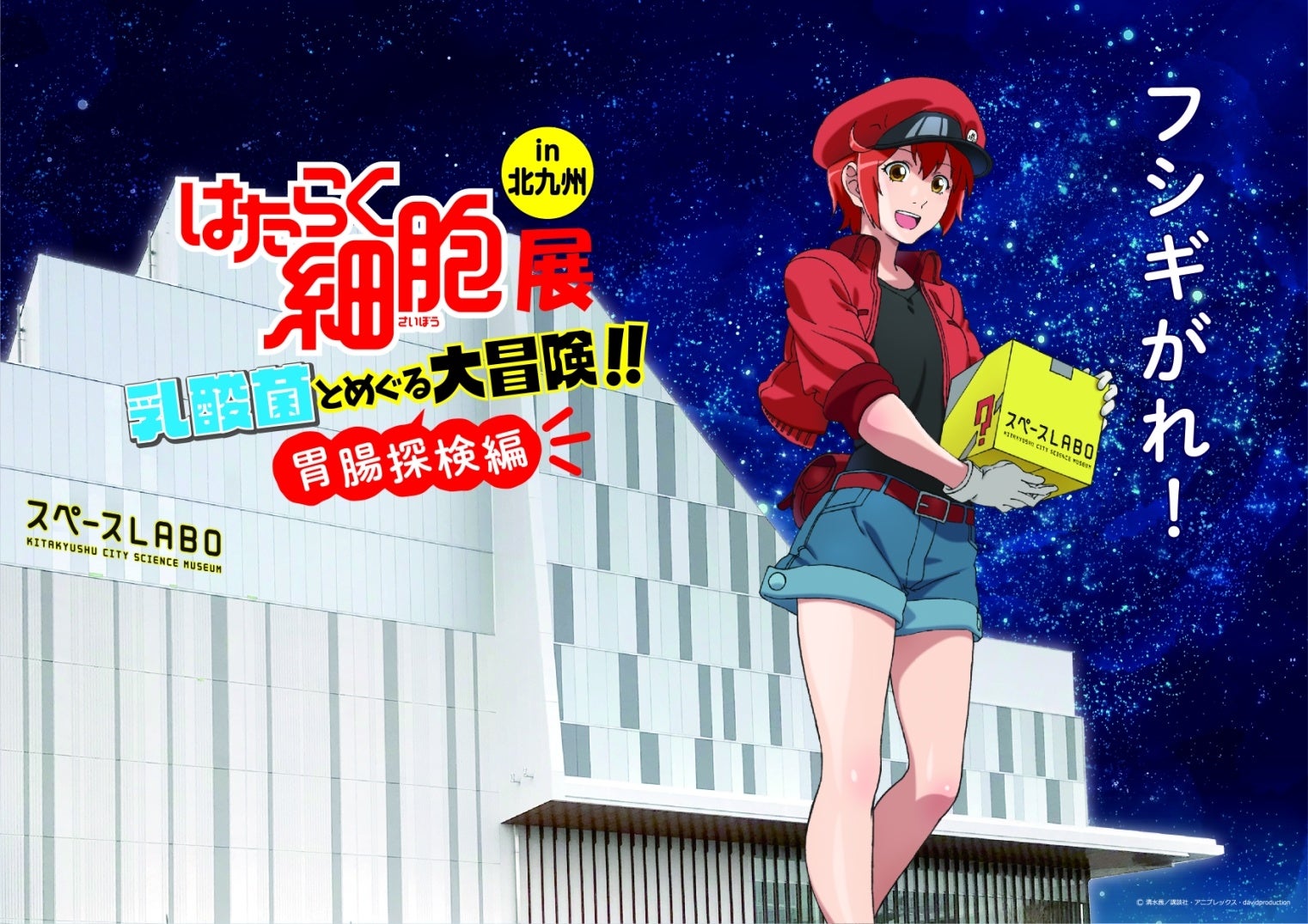 描き下ろしイラスト解禁 ジ アウトレット北九州 内 スペースlabo に 大人気アニメ はたらく細胞 の世界がやってくる 株式会社西日本新聞社のプレスリリース 描き下ろしイラスト解禁 ジ アウトレット北九州 内 スペースlabo に 大人気アニメ はたらく細胞 の世界がやってくる 株式会社西日本新聞社のプレスリリース