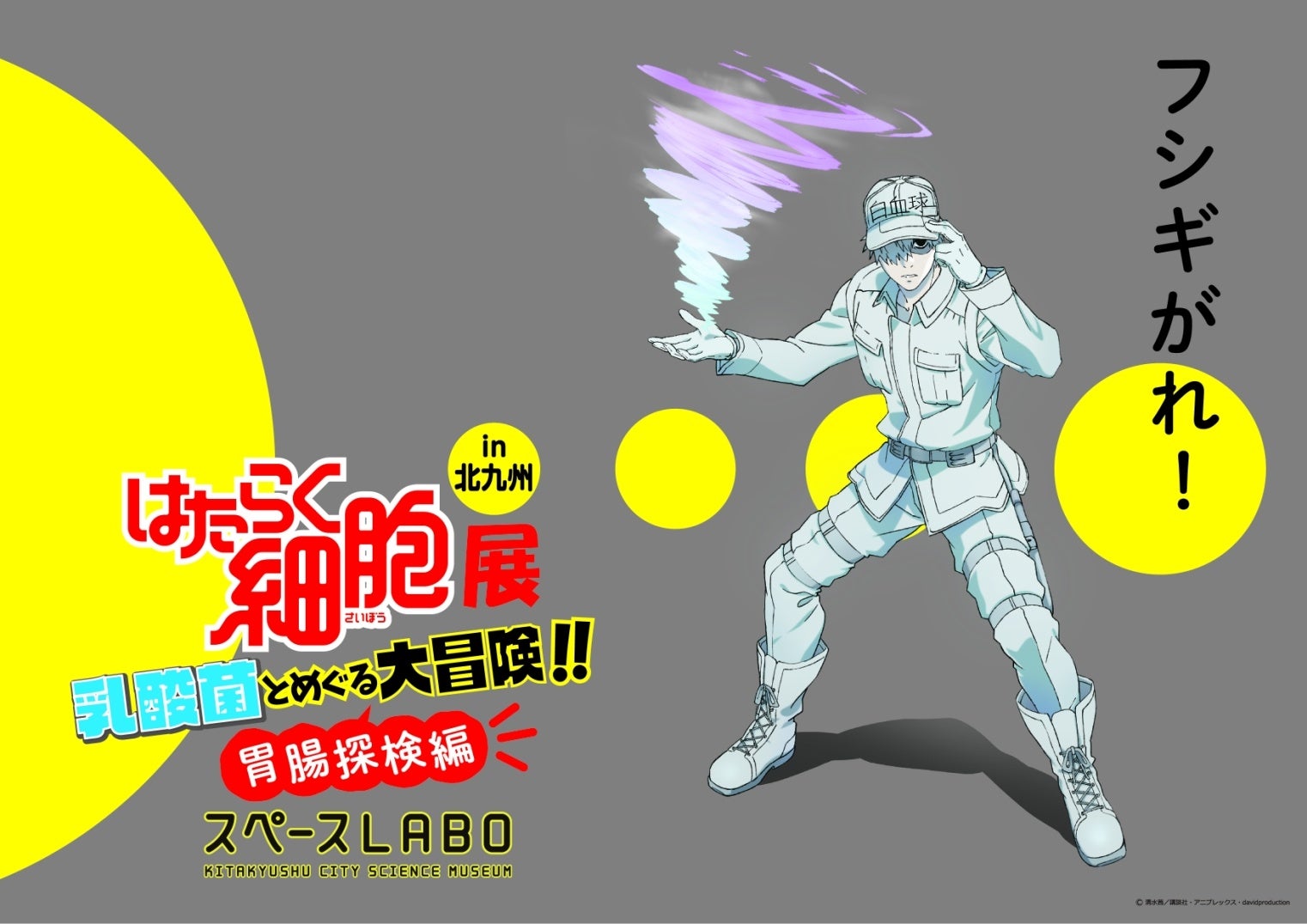 描き下ろしイラスト解禁 ジ アウトレット北九州 内 スペースlabo に 大人気アニメ はたらく細胞 の世界がやってくる 株式会社西日本新聞社のプレスリリース 描き下ろしイラスト解禁 ジ アウトレット北九州 内 スペースlabo に 大人気アニメ はたらく細胞 の世界がやってくる 株式会社西日本新聞社のプレスリリース