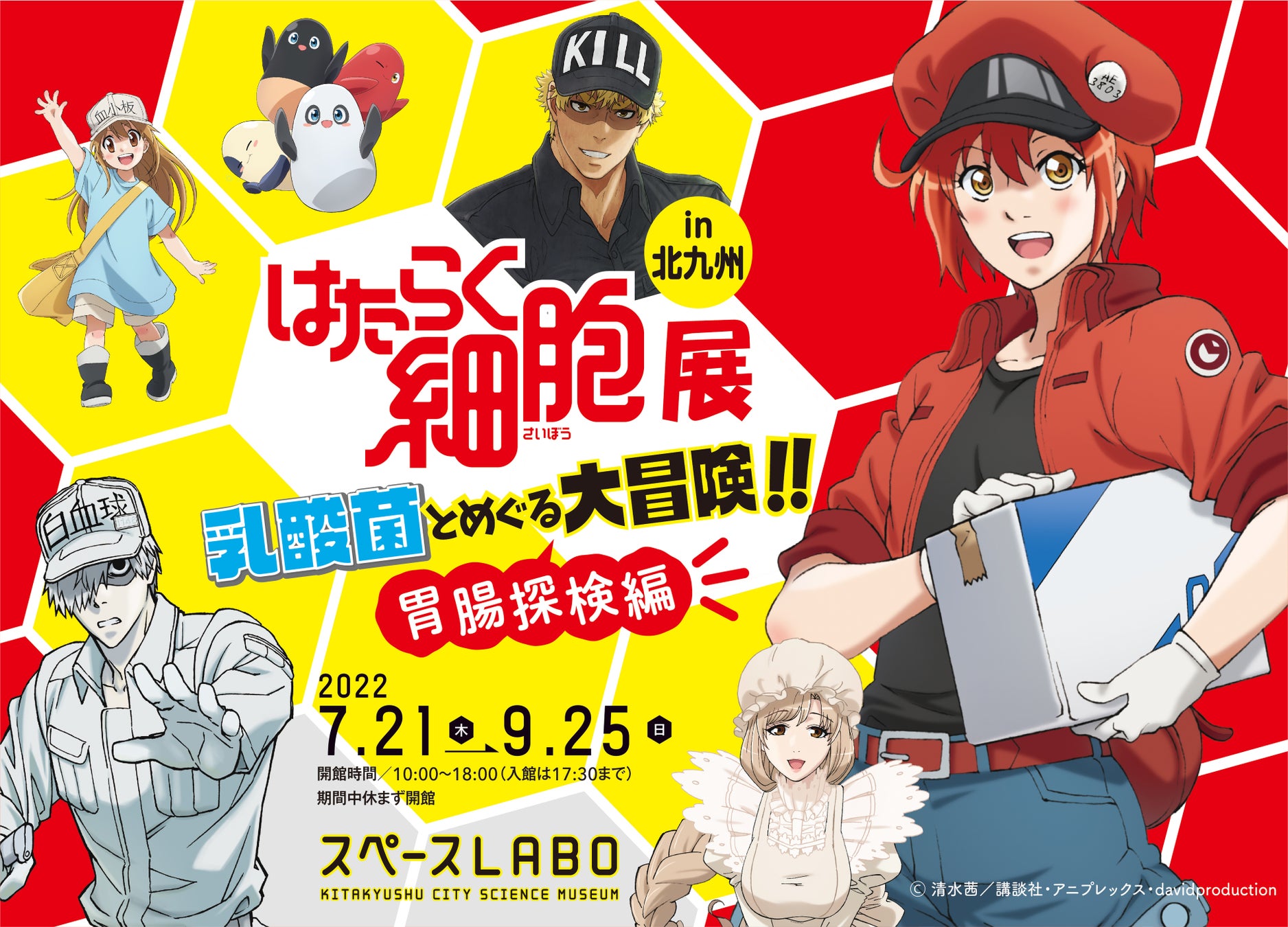 描き下ろしイラスト解禁 ジ アウトレット北九州 内 スペースlabo に 大人気アニメ はたらく細胞 の世界がやってくる 株式会社西日本新聞社のプレスリリース 描き下ろしイラスト解禁 ジ アウトレット北九州 内 スペースlabo に 大人気アニメ はたらく細胞 の世界がやってくる 株式会社西日本新聞社のプレスリリース