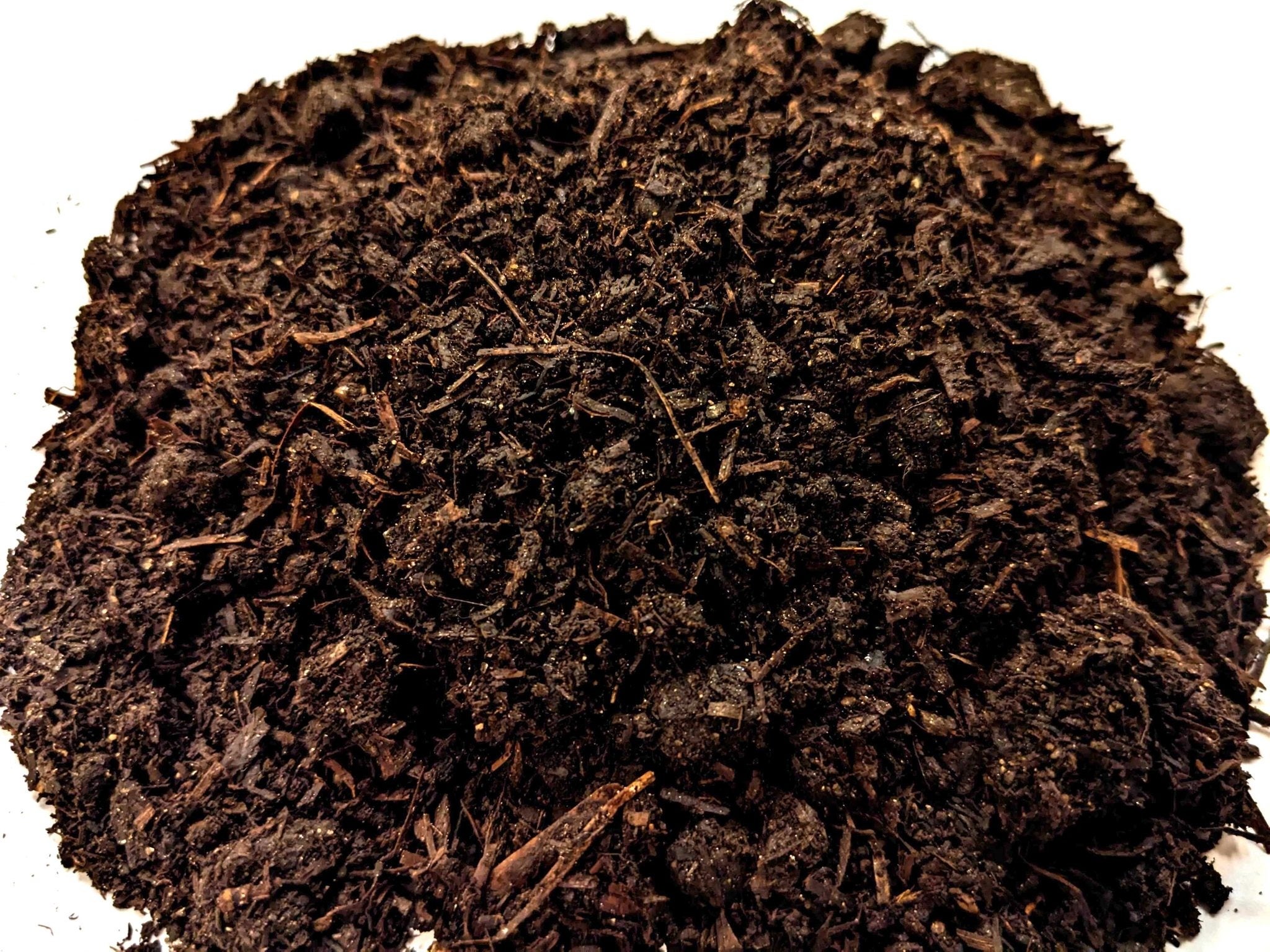 YFFプレミアム1号　