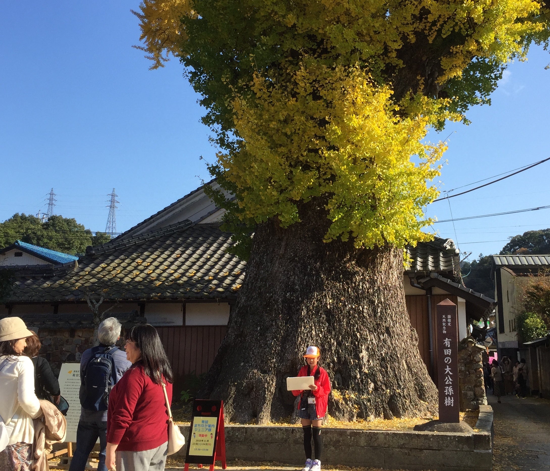 有田まちなか案内ジュニア隊