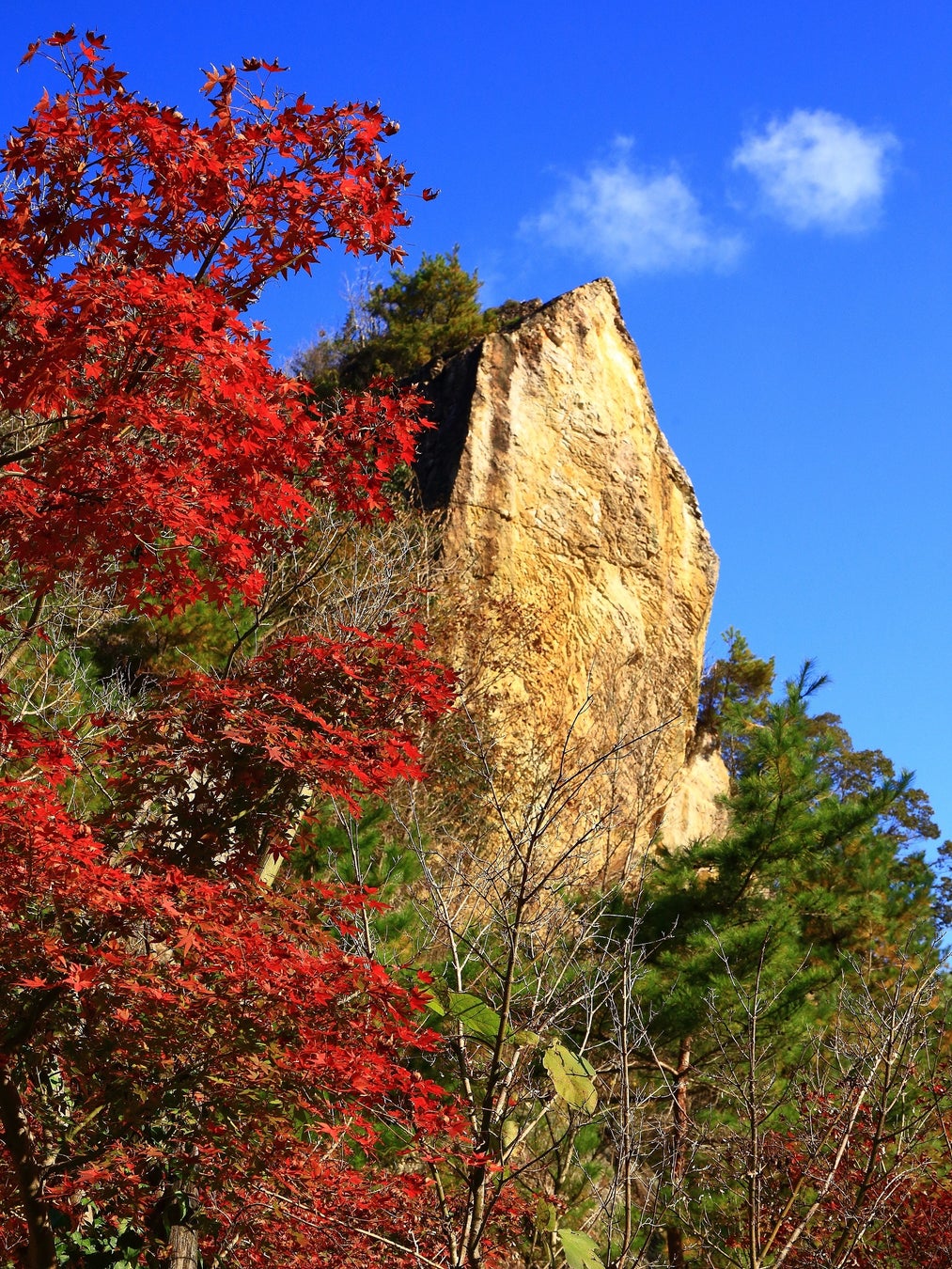 泉山磁石場