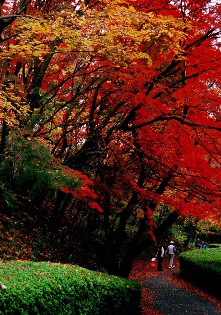 有田町歴史民俗資料館