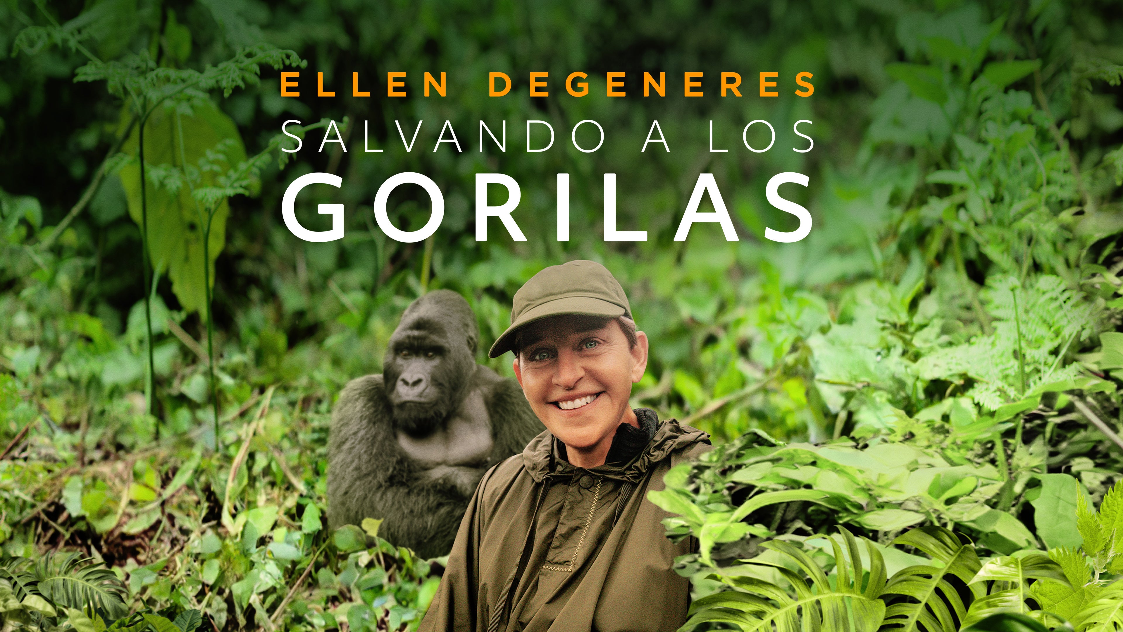 「ゴリラを救え！エレン・デジェネレスの挑戦」2024 Warner Bros. Discovery, Inc. or its subsidiaries and affiliates. All rights reserved.