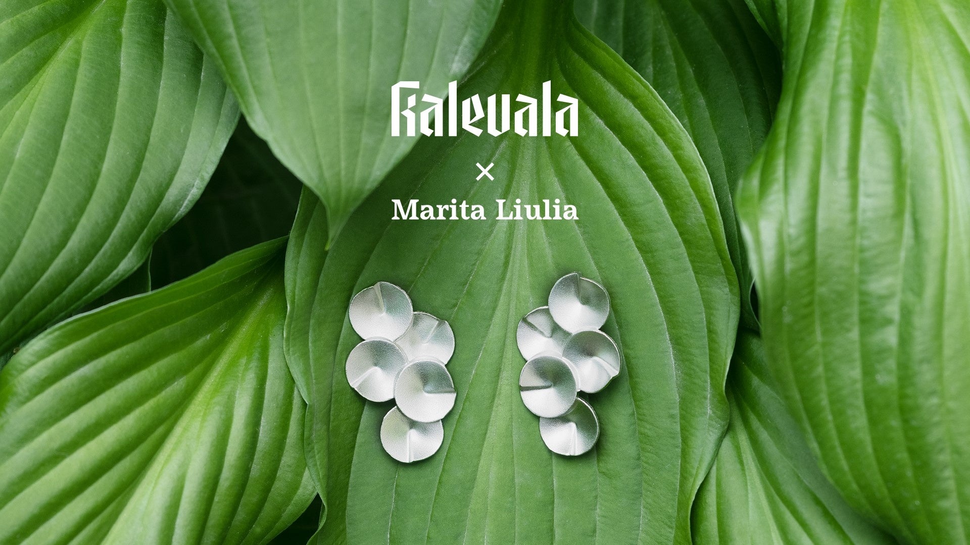 Kalevala koru  カレワラコル　タペストリー　陶器　壁掛け　北欧 陶器壁掛け：Jie/ジィ社製・県花シリーズ☆Prastkrage - 北欧