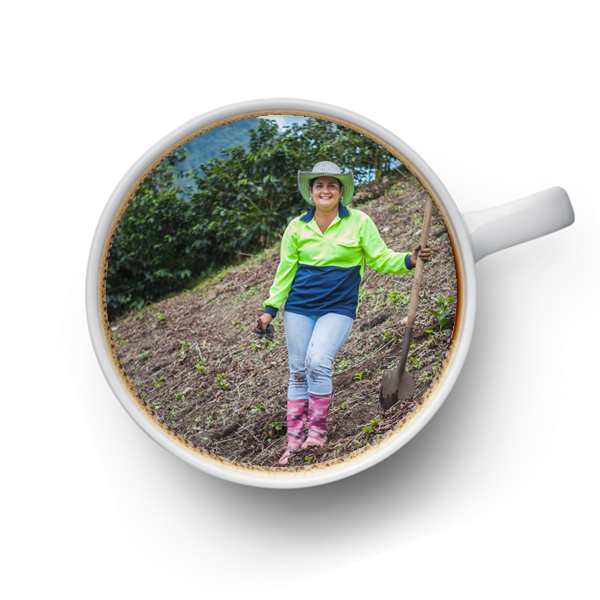 コーヒー農園の生産者