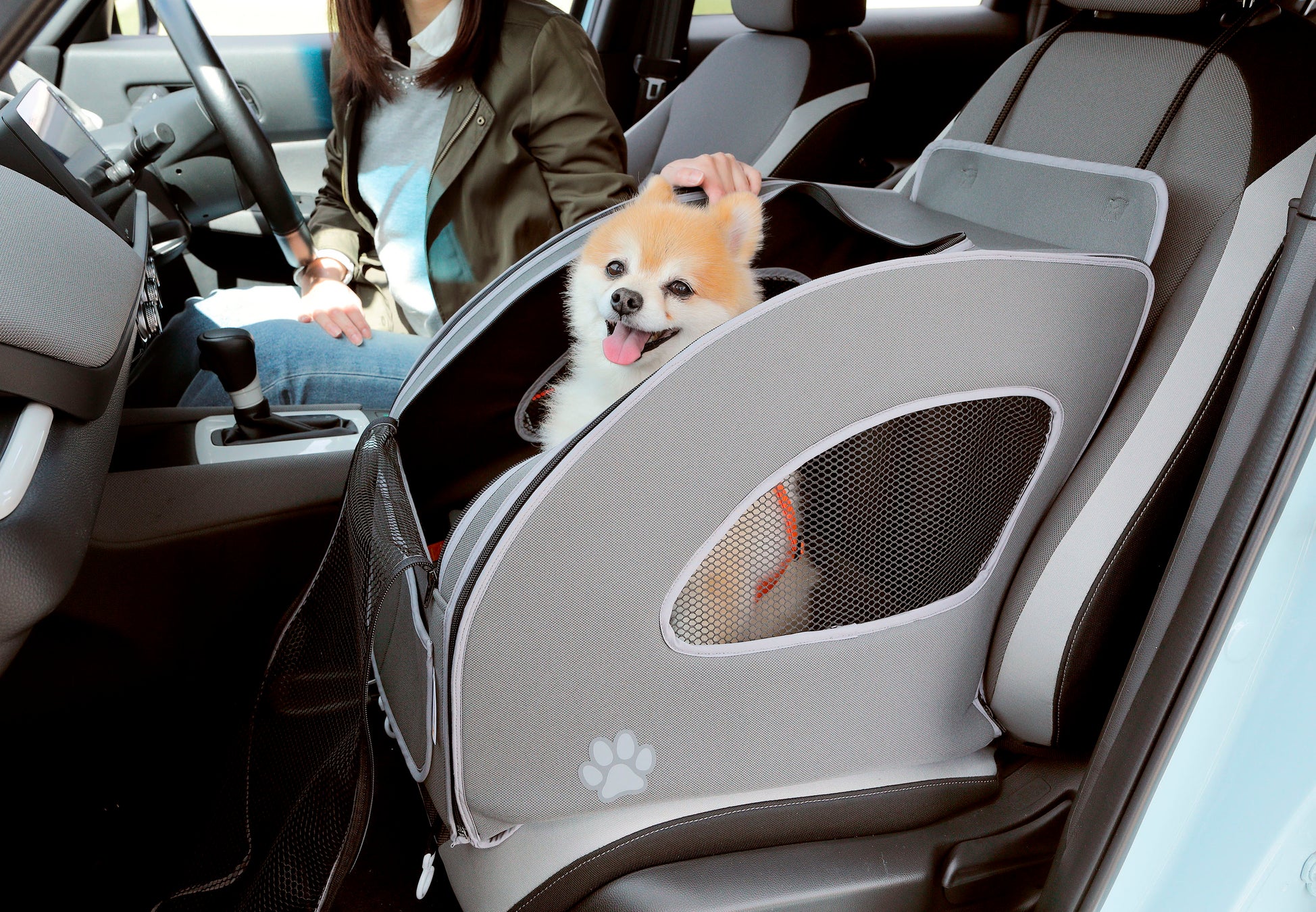 Honda Dogシリーズが登場!インターペットで愛犬との豊かな暮らしを体験しよう Honda Dogシリーズが登場!インターペットで愛犬との豊かな暮らしを体験しよう