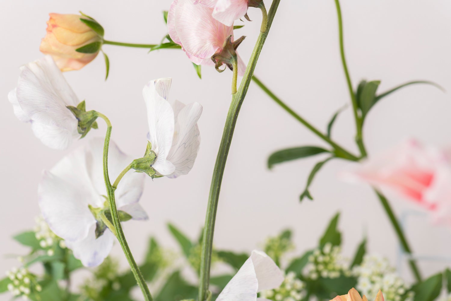 紫陽花さま専用　オーラゴールド マスク　ジャスミンフラワーメノポーズクリーム 紫陽花さま専用 オーラゴールド マスク ジャスミンフラワー